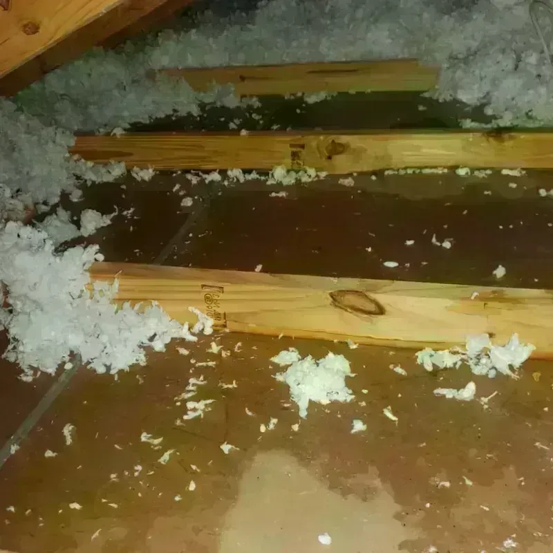 Attic Water Damage in Northwest Ithaca, NY